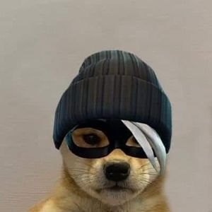 Meet your Posher, Jorge